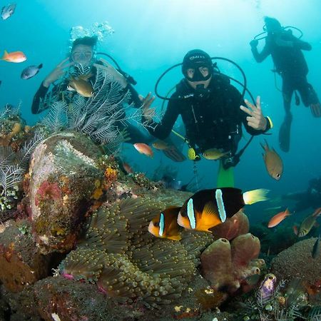 Bali Dive Resort Amed Zewnętrze zdjęcie