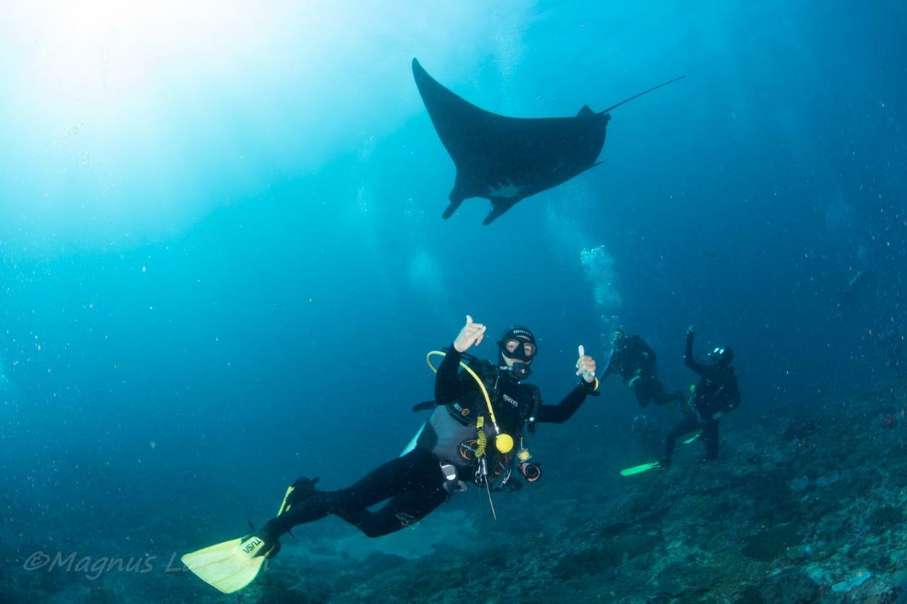 Bali Dive Resort Amed Zewnętrze zdjęcie